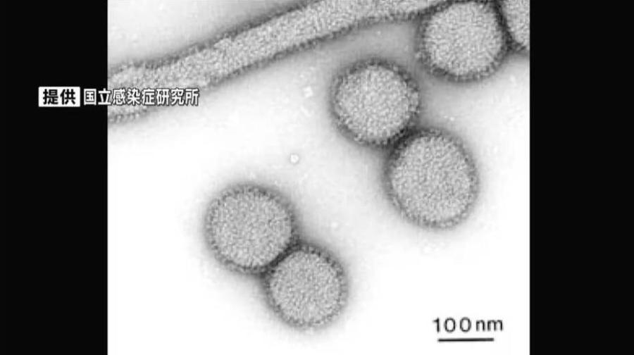 鹿児島県内全域に「インフルエンザ流行発生警報」感染者数は前週の約1.7倍 川薩が最多