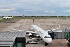 フィリピン航空、関西～セブ線の運航再開延期、原因は関西空港のハンドリングスタッフ不足のイメージ画像