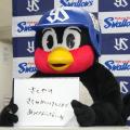 ヤクルト人気マスコット「つば九郎」..