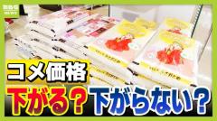 ＪＡが"政府の備蓄米買い上げ"見越して価格下げず！？「古いコメは食用向きでないなどと理由をつけ...」余っているコメ高止まりのワケ【専門家解説】のイメージ画像