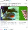 日本国旗を上手に踏めたら中国国旗を..