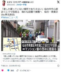 【速報】クマサン、仙台市中心部まで攻め入ることに成功...仙台市民に衝撃走るのイメージ画像