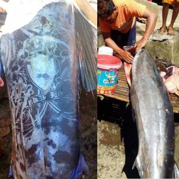 フィリピンで全身をタトゥーに覆われた｢謎の魚｣捕獲!