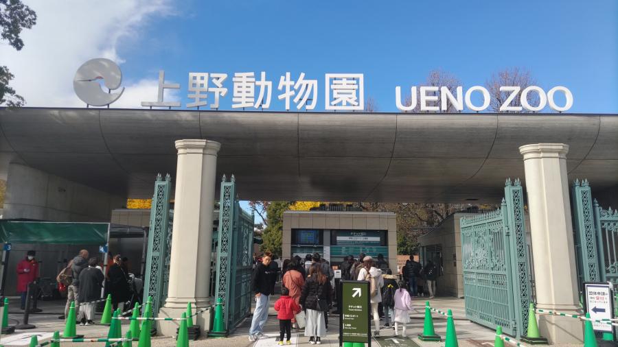 上野動物園と青空のイメージ画像