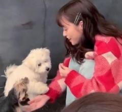 橋本環奈 子犬と戯れる姿にネット民が悶絶 犬より可愛い 犬になりたい人生だった 芸能ニュース掲示板 ローカルクチコミ爆サイ Com関東版