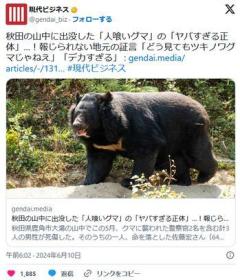 『どう見てもツキノワグマじゃねえ』秋田に赤カブトが出現 熊犬・銀の投入が待たれるのイメージ画像