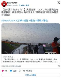 【空が黒く染まった！】大阪万博ユスリカ大量発生を徹底検証…根本原因は鳥が消えた“環境破壊”3年前の警告が現実にのイメージ画像