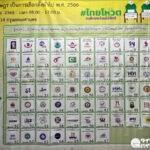 タイは只今投票中！67の政党から1つ、選挙区の候補者から1人