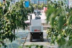 陝西省大茘県、初のスマート冬棗収穫ロボットの実地試験を実施―中国