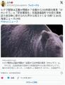 ヒグマ駆除は正義か残酷か？『かわいそう』vs『安全確保を』北海道福島町での死亡事故巡り自治体に寄せられた声から見えてくる分断