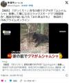【秋田市】「びっくり！」自宅前で子グマが「ムシャムシャ」食事し横になるリラックスモードで2時間滞在…追い払うも「また来るかも」