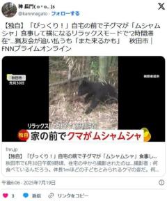 【秋田市】「びっくり！」自宅前で子グマが「ムシャムシャ」食事し横になるリラックスモードで2時間滞在…追い払うも「また来るかも」