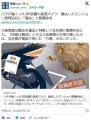 ハチが巣くった3年放置の迷惑バイク撤去したマンション管理会社に「違法」と賠償命令