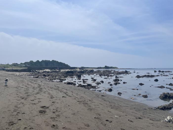 干潮の大浜海岸のイメージ画像