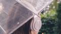 雨の日のイヤホン使用で事故リスク大！傘＋イヤホンが引き起こす死角とは