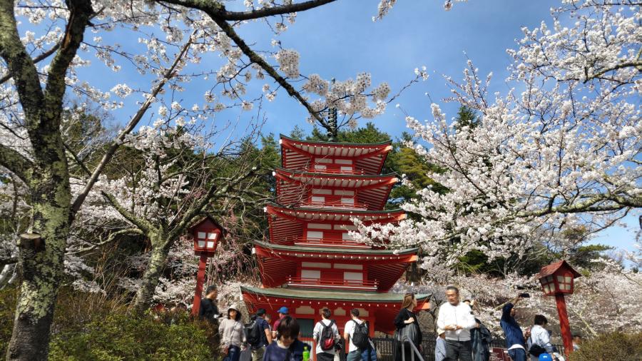 新倉山浅間公園のイメージ画像