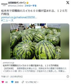 【長野】松本市で収穫前のスイカ６００個が盗まれる、１２０万円相当のイメージ画像