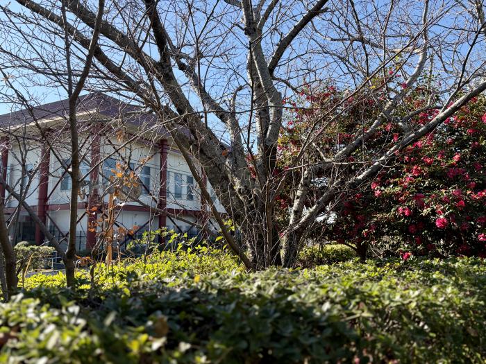 北島町にある体育館の建物のイメージ画像