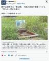 勝手に埋葬する