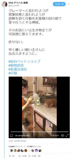 仙台のﾍﾟｯﾄｼｮｯﾌﾟ､仔猫をわしづかみ虐待 客が動画撮影し告発