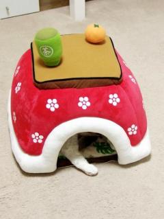 薬物疑惑で解雇の元eggﾓﾃﾞﾙ川端かなこｷｬﾊﾞ嬢に転身 芸能ニュース掲示板 爆サイ Com関東版