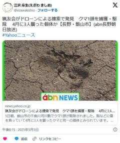 胸に7つの傷のある熊、10人がかりで取り囲まれ死亡のイメージ画像