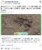 胸に7つの傷のある熊、10人がかりで取り囲まれ死亡