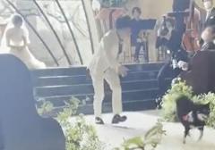 逃げるワンちゃんと追いかける新郎まるでコントのような結婚式のワンシーン