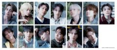 SEVENTEEN、清原果耶主演「初恋DOGs」主題歌に決定 日本オリジナル曲「愛が通り過ぎた跡」初回放送で解禁のイメージ画像