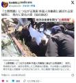 【宮城】「土葬問題」につながる現実..