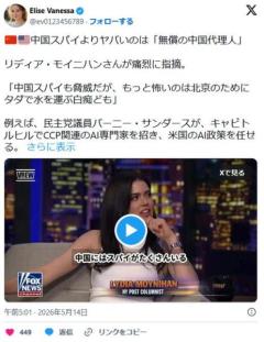 米記者「スパイも脅威だが最も怖いのは中国のためにタダで工作活動する白痴ども」←5chにもいるねのイメージ画像