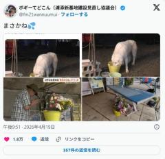 辺野古パヨク、献花の為に用意したバケツが野良犬の水飲みバケツであることが判明し炎上ｗｗｗｗのイメージ画像