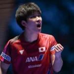 マカオ開催の卓球ITTF男女シングルスワールドカップ、日本5選手がベスト16進出のイメージ画像