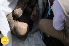 ペルーで男性逮捕：600年前に埋葬された“恋人”と外出のイメージ画像