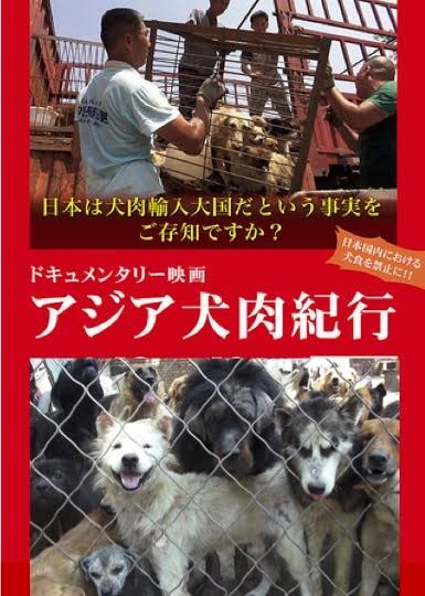 34ワロタwww 犬の食肉処理場が閉鎖 25年で100万匹超を処理 カンボジア 爆サイ Com九州版