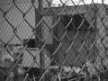 タイ 受刑者16人が刑務所から逃走! 深..