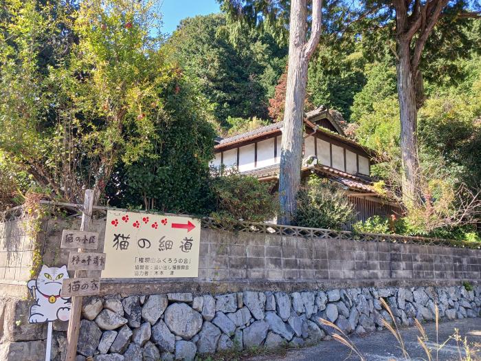 宮若市 猫の細道のイメージ画像
