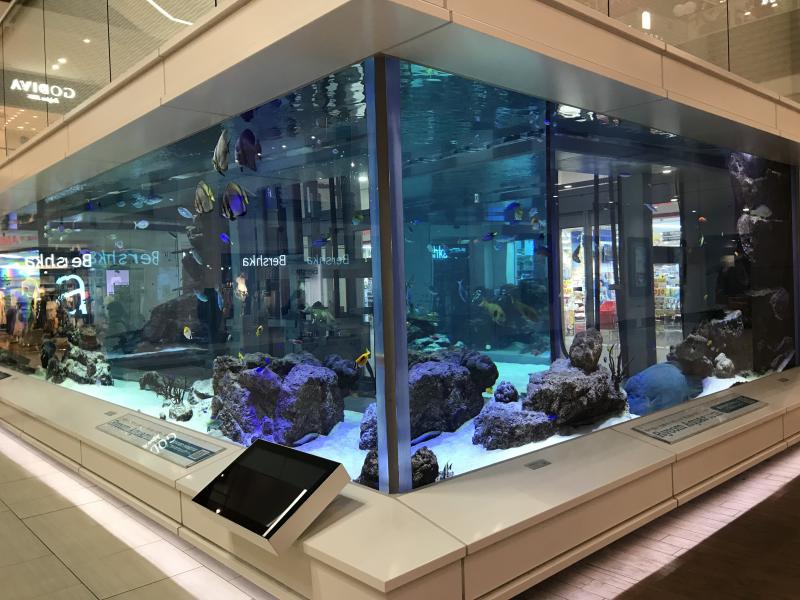イオンモール沖縄ライカム巨大水槽のイメージ画像