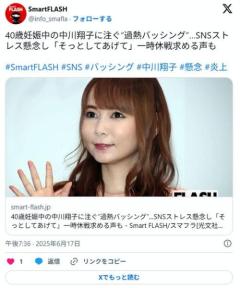 過熱する中川翔子への批判「妊娠中だからそっとしてあげて」「お腹の子に影響…過度に叩いて欲しくない」など心配の声ものイメージ画像