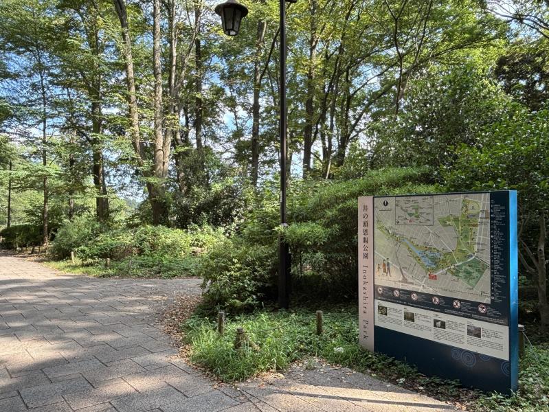 井の頭恩賜公園のイメージ画像