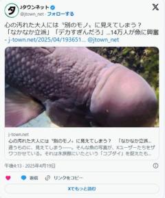 心の汚れた大人には〝別のモノ〟に見えてしまう？「なかなか立派」「デカすぎんだろ」...14万人が魚に興奮のイメージ画像