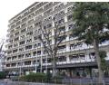 国道交差点で2人死亡事故 歩行中の女..