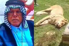 ライオンを購入した男性、数日後に自宅で襲われ死亡【イラク】