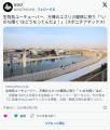 生物系ユーチューバー、万博のユスリ..