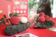 海口市で火山ライチ王コンテスト、1粒136万円で落札され話題に―中国のイメージ画像