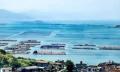 「海上牧場」でアワビ年間6万トン近くを生産―福建省連江県