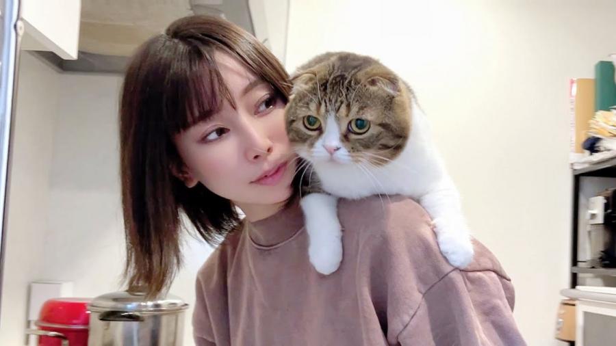 🎤猫YouTuberのスコスコぽこ太郎 ママのことが大好きすぎて追いかける日を密着した - スレッド閲覧｜爆サイ.com南関東版