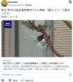 日本、闇バイト強盗団が止まらないwwww..