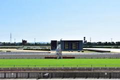 JRA2日間で「200億円超」が動くセレクトセールって何？ タイトルホルダーやデアリングタクトも輩出、平均落札額は“プロ野球選手の年俸”に匹敵