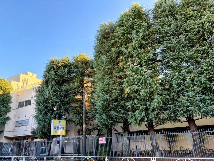 東星学園のイメージ画像